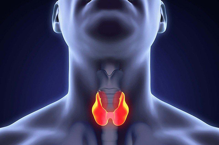 Комплексная диагностика состояния щитовидной железы (УЗИ + гормоны)